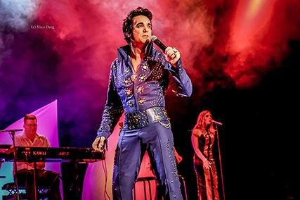 Bild "The Musical Story of Elvis"