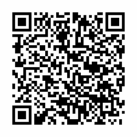 QR Code für Schumann-Fest Zwickau: Romantisches Lichterfest