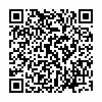 QR Code für Schumann-Fest Zwickau: Fahrradkonzerte